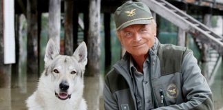 Ascolti tv ieri, domenica 6 agosto 2017 Un passo dal cielo 3