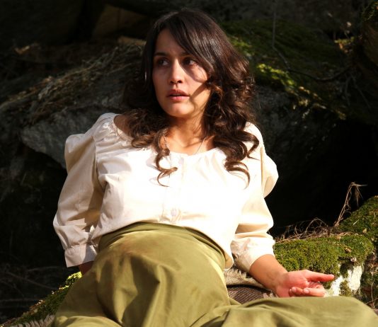 Il Segreto, anticipazioni puntata speciale 31 dicembre 2018: la bella notizia per i fan Il Segreto