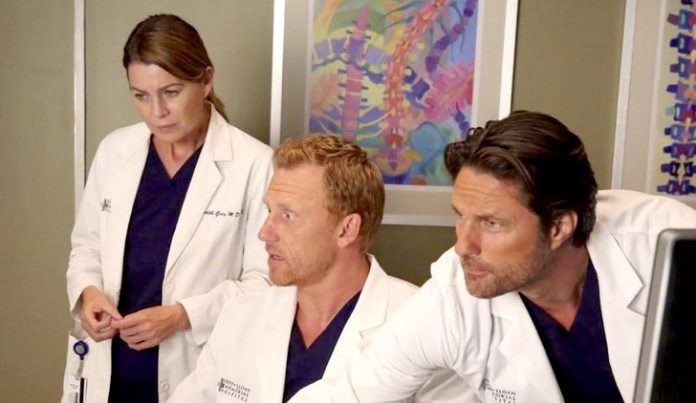 Grey's Anatomy 14