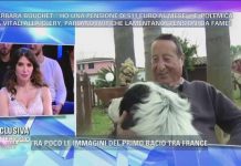 Pomeriggio 5, Alvaro Vitali: “non lavoro più e ho una pensione da fame” Alvaro Vitali a Pomeriggio 5 su Canale 5