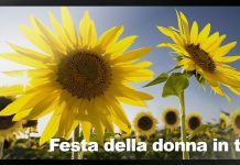 8 marzo Festa della Donna: cosa vedere in tv Festa della donna in TV - 8 MARZO