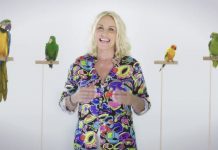 Portobello 2018, Antonella Clerici pronta all’esordio: “Mi piace recuperare il senso delle persone vere” Antonella Clerici - Portobello