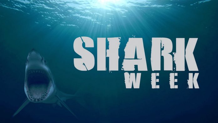 Shark Week - discovery