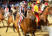 Palio di Siena Straordinario, quando va in onda palio di siena 2018