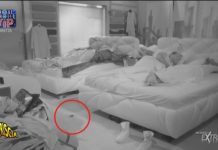 Un topo nella casa del Grande Fratello Vip? Striscia la notizia topo gf vip