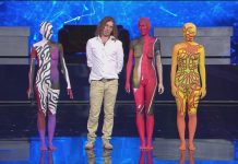 Ascolti tv ieri, Portobello vs Tu si que vales | Dati Auditel 10 novembre 2018 Johannes Stoetter - tu si que vales