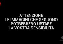Le Iene, servizio sul barbonismo domestico “Sepolta in casa” | video Mediaset Foto frame Le Iene barbonismo domestico