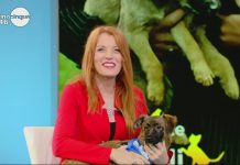 Michela Vittoria Brambilla a Mattino 5 parla di Animali e della sua battaglia | VIDEO Maria Vittoria Brambilla - Mattino 5