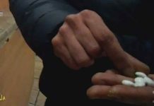 Striscia La Notizia, il servizio di Vittorio Brumotti: fa arrestare uno spacciatore a Bologna | Video Striscia La Notizia Vittorio Brumotti droga Bologna
