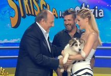 Striscia la notizia 2019, Edoardo Stoppa presenta il nuovo cane – mascotte: ecco il nome! Foto nuovo cane Flat Striscia la notizia 2019