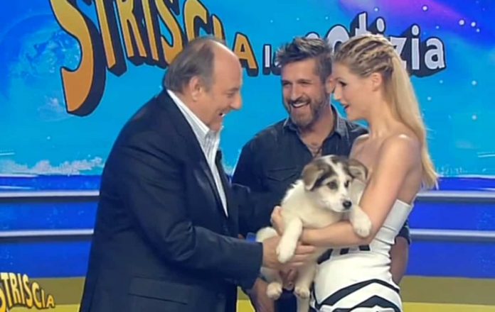 Striscia la notizia 2019, Edoardo Stoppa presenta il nuovo cane – mascotte: ecco il nome! Foto nuovo cane Flat Striscia la notizia 2019