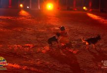 Ciao Darwin 8, la prova di coraggio è con i cani: la concorrente dice “basta” | video Una signora affronta la prova coraggio con i cani a Ciao Darwin 8