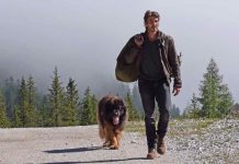 Ascolti tv ieri, Un Passo dal cielo 4 vs Vittoria e Abdul | Auditel 7 luglio 2019 Un passo dal cielo 4 repliche Rai1