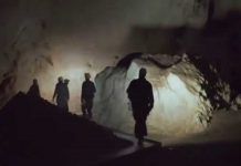 I 10 documentari da non perdere Cave of forgotten dreams - documentario