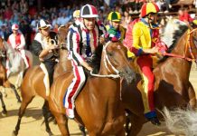 Palio di Siena 2019, la diretta in onda Rai2: ecco quando Palio di Siena 2019 su Rai2