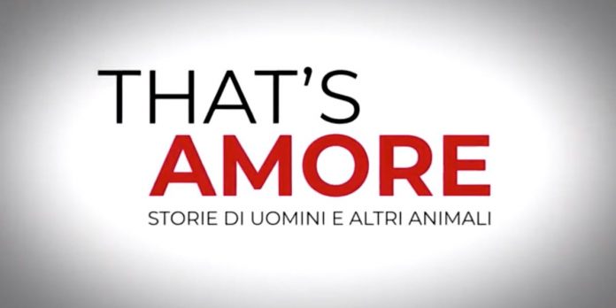 That's Amore, Duccio Forzano su Rai3