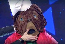 Il Cantante Mascherato, chi si nascondeva dietro il Mastino. Chi c’era sotto? Il mastino de il Cantante Mascherato