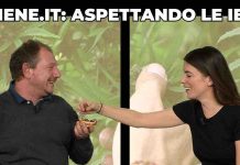 Le Iene, molti negozi di cannabis indagati in Italia | Video Mediaset Le Iene si parla di cannabis