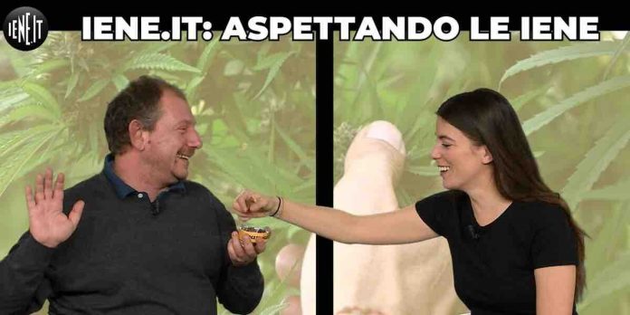 Le Iene, molti negozi di cannabis indagati in Italia | Video Mediaset Le Iene si parla di cannabis