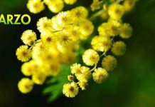 8 marzo 2020, Festa della Donna: la programmazione delle rete Rai 8 marzo festa della donna, programmazione Rai