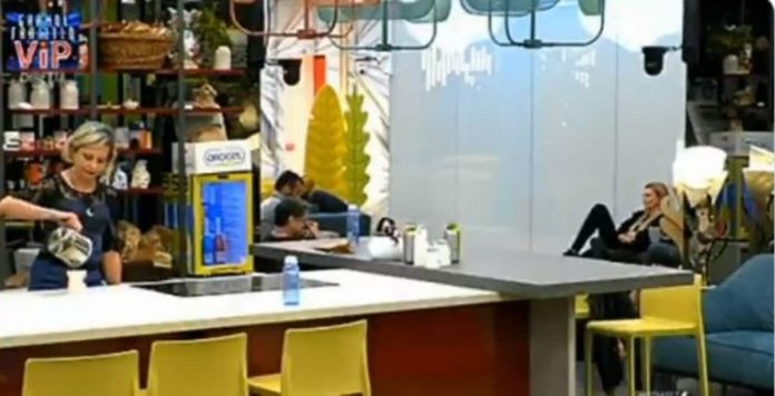 Grande Fratello Vip 2020, lite Antonella vs Licia: “sei viscida come un cobra, la pochezza ti rappresenta” | Video Mediaset Elia- Nunez lite Gfvip