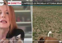 Michela Vittoria Brambilla a Mattino Cinque: “gli animali non trasmettono il Covid-19” | Video Mediaset Michela Vittoria Brambilla a Mattino Cinque