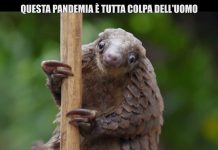 Le Iene, Coronavirus è colpa dell’uomo? Il servizio di Gaston Zama | Video Mediaset Coronavirus come è nato? Le Iene