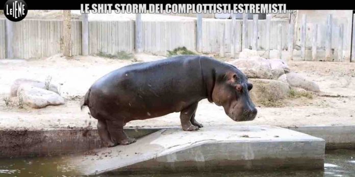 Le Iene, shit storm sui social contro Gaston Zama | Video Mediaset shit storm a Le Iene