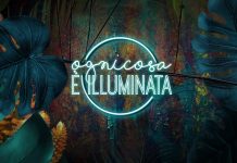 Ogni cosa è illuminata su Rai3: tutti gli ospiti di giovedì 25 giugno 2020 Ogni cosa è Illuminata Rai 3