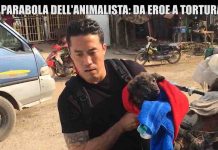 Le Iene, l’animalista Marc Ching è un eroe o un torturatore? | Video Mediaset Le Iene Marc Ching animalista