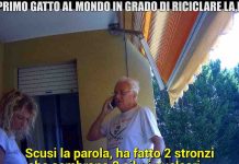 Scherzo Marco Predolin a Le Iene: il suo gatto ricicla la plastica? | Video Mediaset Scherzo Marco Predolin a Le Iene