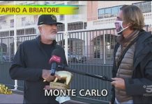 Tapiro a Flavio Briatore a Striscia la Notizia 2020 | Video Mediaset Tapiro a Flavio Briatore