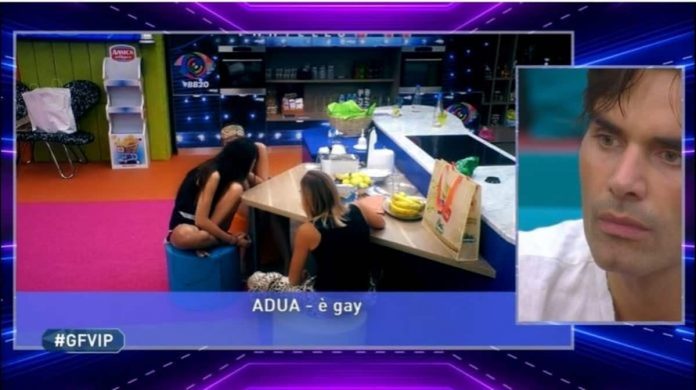 Duro confronto fra Adua Del Vesco e Massimiliano Morra al Grande Frtello Vip 2020 | Video Mediaset confronto adua morra