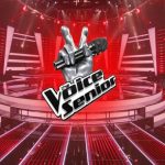 Ascolti tv venerdì 13 gennaio 2023: The Voice Senior (23.3%), Fosca Innocenti (15.3%)| Dati Auditel Chi sono i finalisti di The Voice Senior