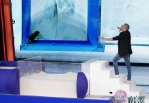 Tu si que vales 2020, Massimo Contati: fra magia e comicità, ‘insabbia’ Rudy Zerbi | Video Witty Tv Tu si que vales 2020