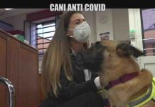 Cani anti covid, il servizio di Alice Martinelli a Le Iene | Video Mediaset cani anti covid a Le Iene