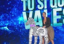 Tu si que vales, Belen Rodriguez salta con la zebra sul tappeto elastico | Video Witty Tv Tu si que vales Belen