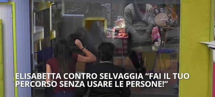 Elisabetta Gregoraci sbotta contro Selvaggia Roma al Grande Fratello Vip: “Basta parlare di me per avere visibilità” | Video Mediaset Elisabetta vs Selvaggia