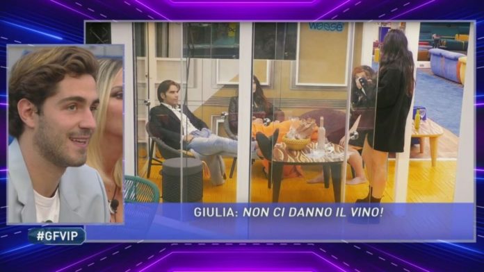 Al Grande Fratello Vip si litiga per il vino: Tommaso Zorzi contro Dayane Mello | Video Mediaset Lite per il vino