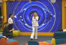 La Televendita improbabile di Stefania Orlando al Grande Fratello Vip: “Le pattine per animali domestici” | Video Mediaset televendita orlando