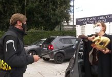 Striscia la Notizia, tapiro d’oro a Milly Carlucci: la consegna | Video Mediaset Striscia la Notizia