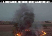 Le Iene, La Terra dei Fuochi continua a bruciare: il servizio di Alice Martinelli | Video Mediaset La terra dei fuochi a Le Iene