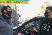 Striscia la Notizia, la consegna del tapiro d’oro a Zlatan Ibrahimovic | Video Mediaset tapiro Ibrahimovic Striscia La Notizia
