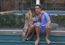 GF Vip, Stefania Orlando e Tommaso Zorzi si chiariscono: “Mi dispiace” | Video Mediaset Chiarimento Stefania Tommaso