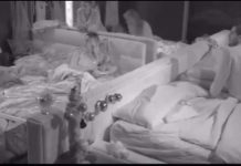 Scontro tra Tommaso Zorzi e Giulia Salemi durante la notte di Natale al Grande Fratello Vip 2020 Zorzi Vs Salemi