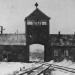 Giorno della memoria 2026: le iniziative e la programmazione delle reti Mediaset Giorno della Memoria 2021