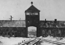 Giorno della Memoria 2021: i film e documentari sulla Shoah in tv dal 25 al 27 gennaio 2021 Giorno della Memoria 2021