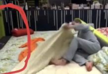 Grande Fratello Vip 2021: topo sotto al letto di Tommaso Zorzi? Video Topo GF Vip