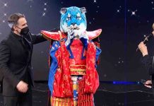 Il Cantante Mascherato 2021, Tigre Azzurra sconfitta da Orsetto: ecco chi si nascondeva sotto la maschera tigre azzurra il cantante mascherato 2021