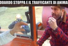 Scherzo Edoardo Stoppa a Le Iene: traffico illecito di animali con lo zampino di Juliana Moreira | Video Mediaset scherzo Edoardo Stoppa a Le Iene